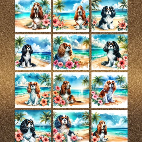 Hibiscus Beach Dogs 6