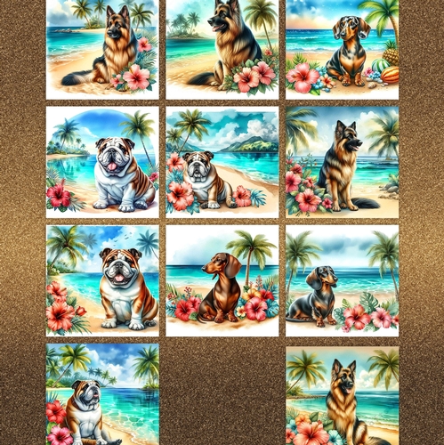 Hibiscus Beach Dogs 10