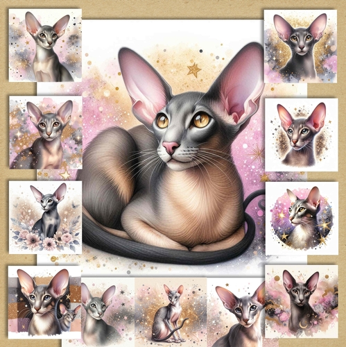 Oriental Cats