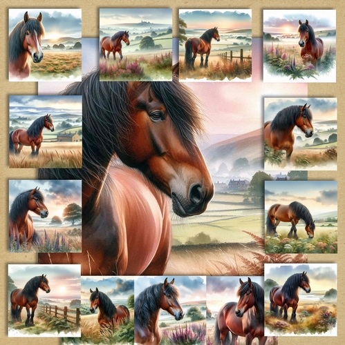 Misty Morning Horse
