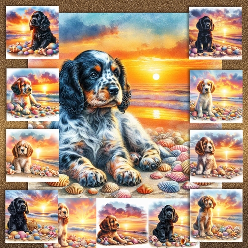 Sunrise Beach Pups 2