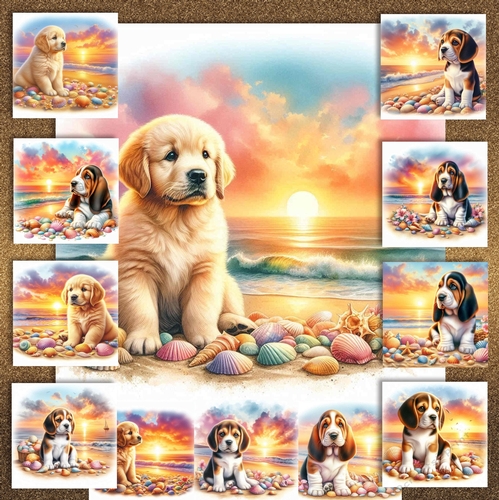 Sunrise Beach Pups 8