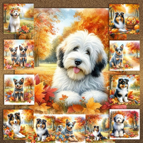 Fall Park Dogs1