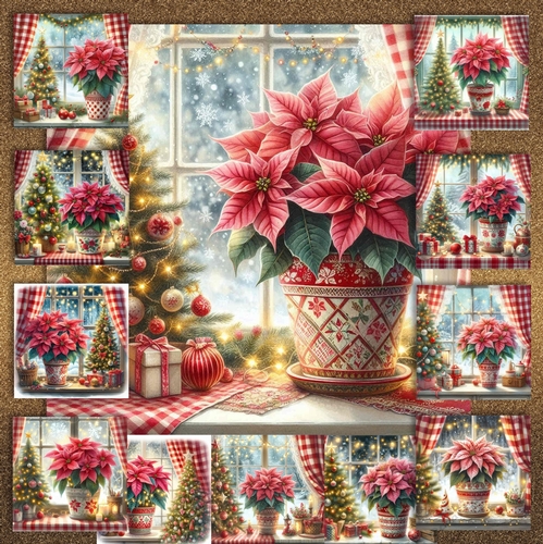 Christmas Poinsettia