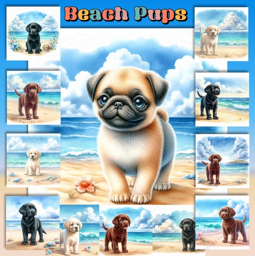 Beach Pups 3