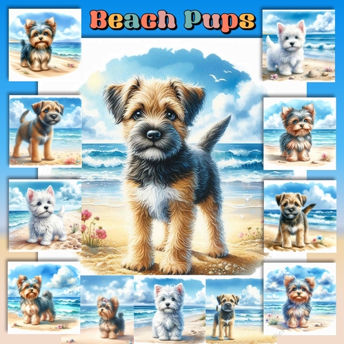 Beach Pups 5