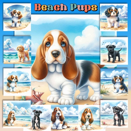 Beach Pups 7