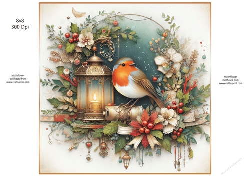 Christmas Robin 1 