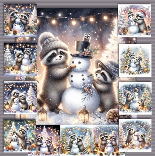Winter Racoon 