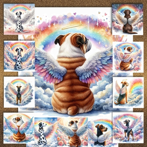 Rainbow Bridge Dogs 14