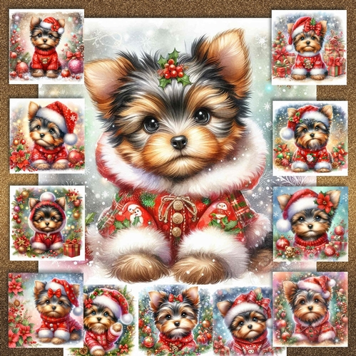 Festive Yorkie