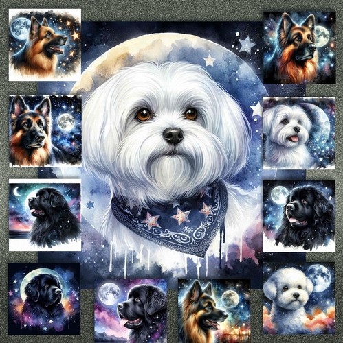 Moonshine Dogs 14