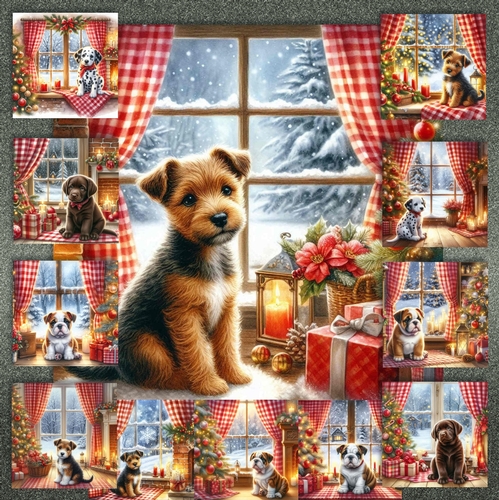 Festive Tails and Cozy Views 13