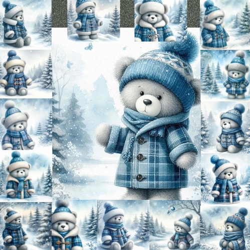 Winter Coat Teddy 1