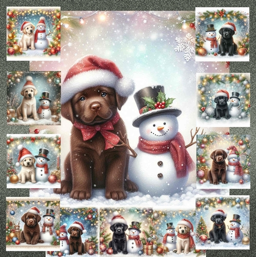 Frosty Paws and Snowy Smiles 14