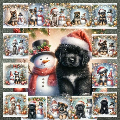 Frosty Paws and Snowy Smiles 17