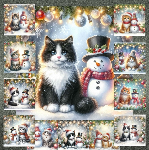 Snowman  Cat1 