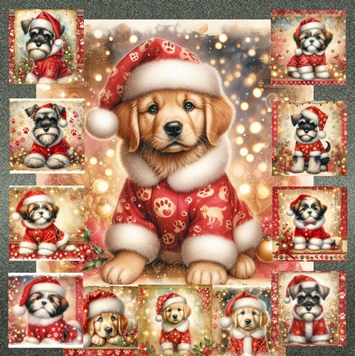Jolly Little Helper 9