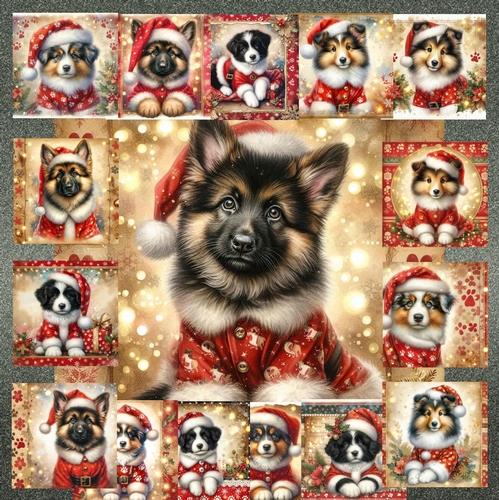 Jolly Little Helper 14