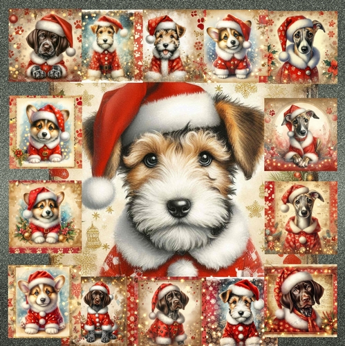 Jolly Little Helper 16