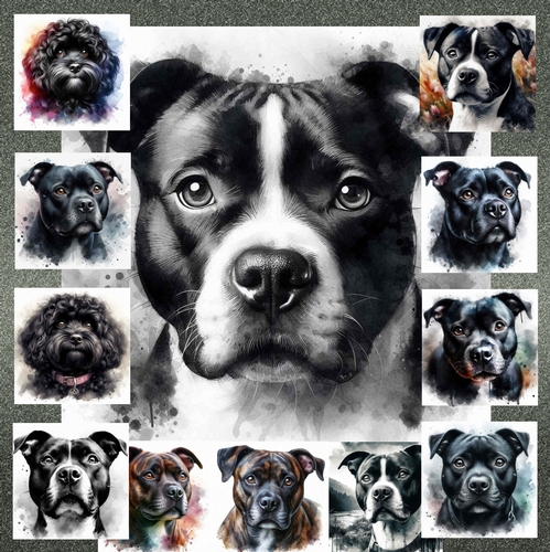 Pawfect Portraits 7