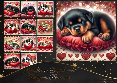 Puppy Love 3