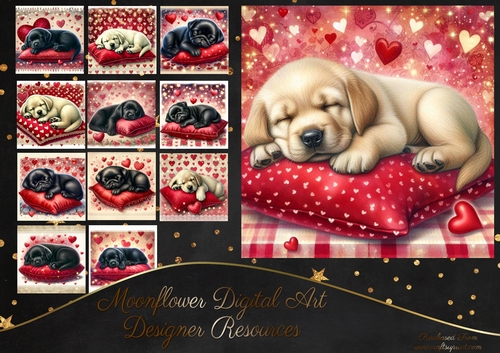 Puppy Love 13