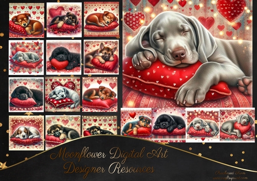 Puppy Love 16