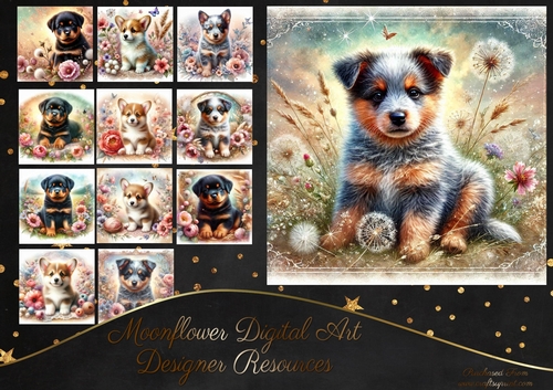Spring Floral Pups 3