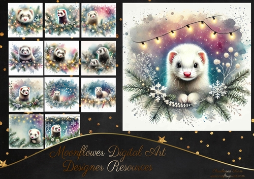 Festive Ferrets 