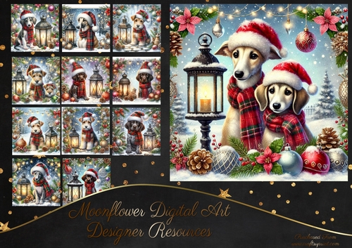 Tartan Tails In The Snow 2