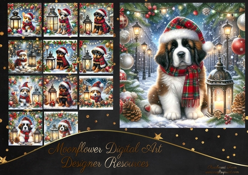 Tartan Tails In The Snow 3