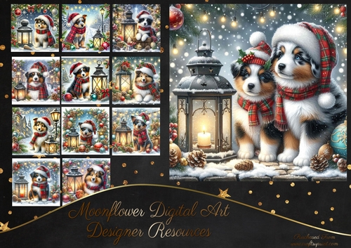 Tartan Tails In The Snow 4