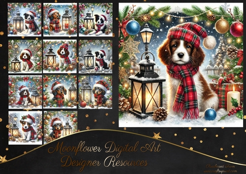 Tartan Tails In The Snow 5