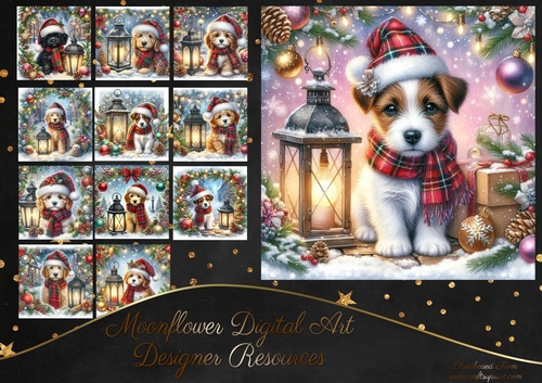 Tartan Tails In The Snow 6