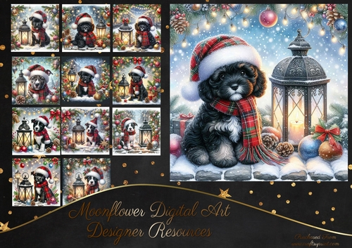 Tartan Tails In The Snow 7