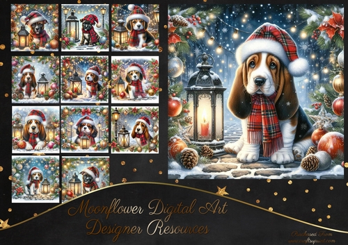 Tartan Tails In The Snow 8