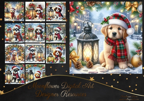 Tartan Tails In The Snow 9