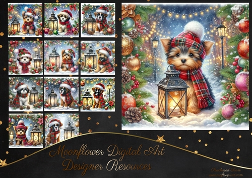 Tartan Tails In The Snow 10