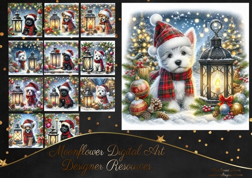 Tartan Tails In The Snow 11