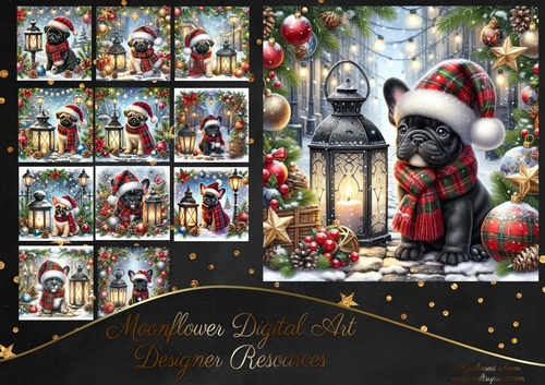 Tartan Tails In The Snow 12