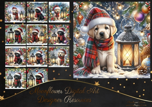 Tartan Tails In The Snow 13