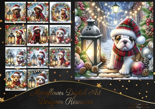Tartan Tails In The Snow 14