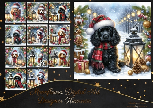 Tartan Tails In The Snow 15