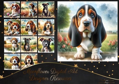 Countryside Pups 8