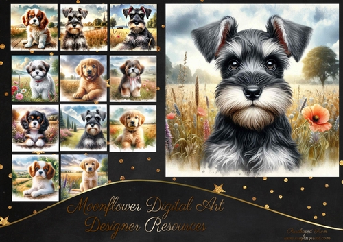 Countryside Pups 9