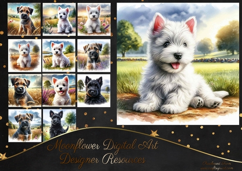 Countryside Pups 11