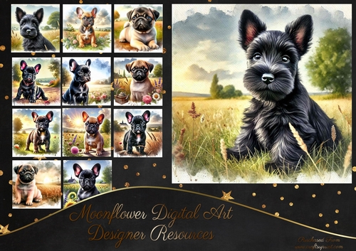 Countryside Pups 12