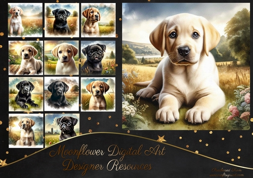 Countryside Pups 13