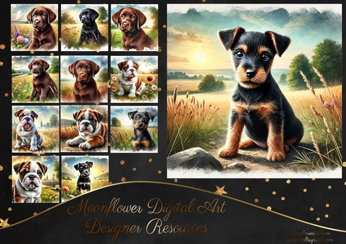 Countryside Pups 14